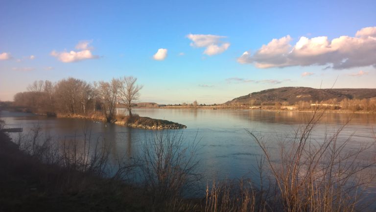 WP_20180308_16_52_31_Pro[1]