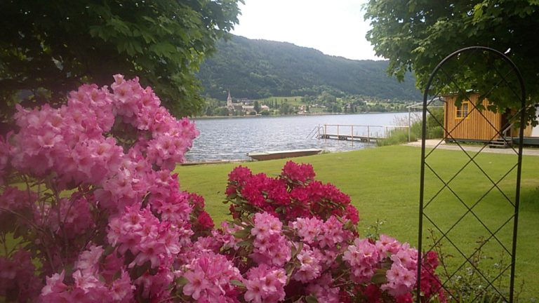 WP_20180518_10_59_44_Pro