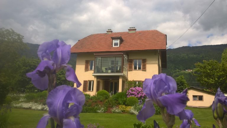 WP_20180518_11_08_46_Pro